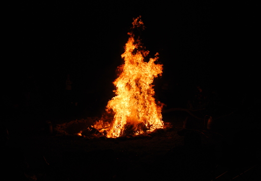 dsc 0365